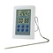 Digital oven thermometer with probe