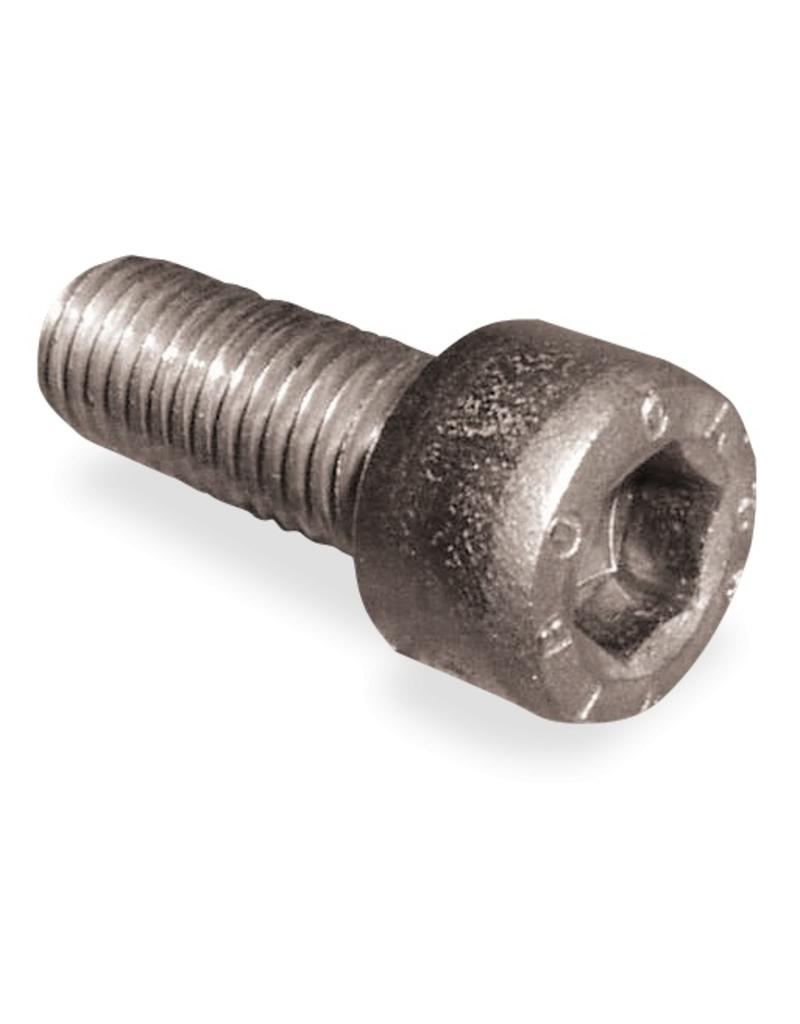 Allen screw INOX RVS FOR FOOD INDUSTRY