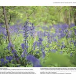 Buch  Tuinieren met Stinzenplanten 2