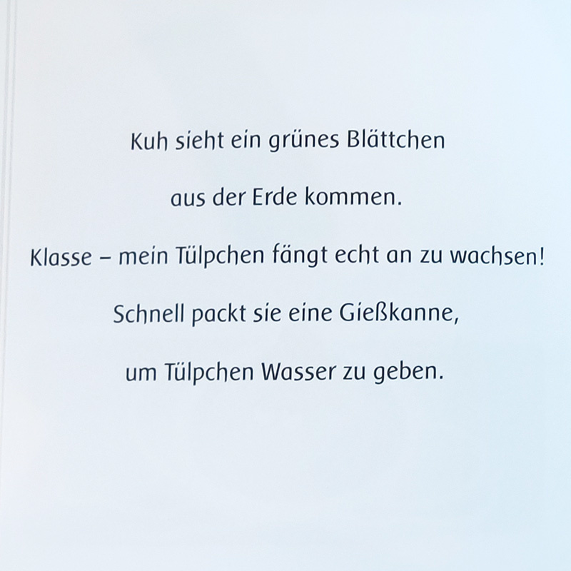 Buch  Kuh und Tülpchen