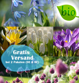 Mischung  250 Biologische Zwiebeln Paket