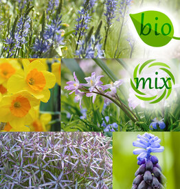 Mischung  Mischung: Voller Frühling: Nektar für die Biene – BIO