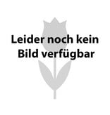 Mischung  Mischung: Frühlingsgefühle - BIO