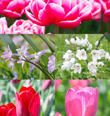 Mischung  Mischung: April Love - BIO