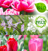 Mischung  Mischung: April Love - BIO