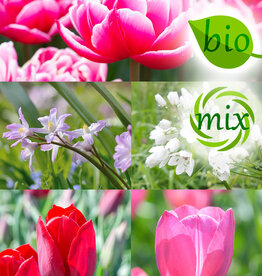 Mischung  Mischung: April Love - BIO