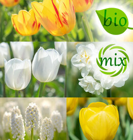 Mischung  Mischung: Frühlingsgefühle - BIO