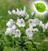 Mischung  Mischung: April Love - BIO