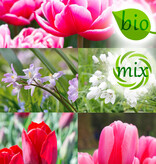 Mischung  Mischung: April Love - BIO