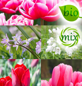 Mischung  Mischung: April Love - BIO