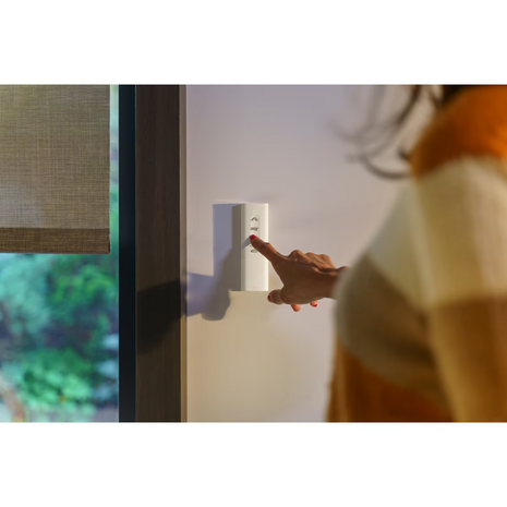 Intura Somfy Ysia 5 Zigbee remote control