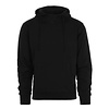 Fostex Garments Hoodie - Zwart