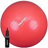 Avento® Fitness / Gymball + Pompe • Ø 65CM • Rose