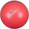 Avento® Avento® - Fitness/Gymbal • Ø 65 CM • Roze