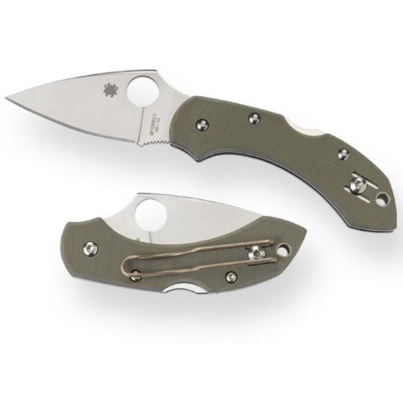 Spyderco Spyderco - Dragonfly 2 - Green - VG-10 PE