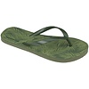 Waimea® Flip -Flops Boys Mix • Echo Beach • Armée verte / vert