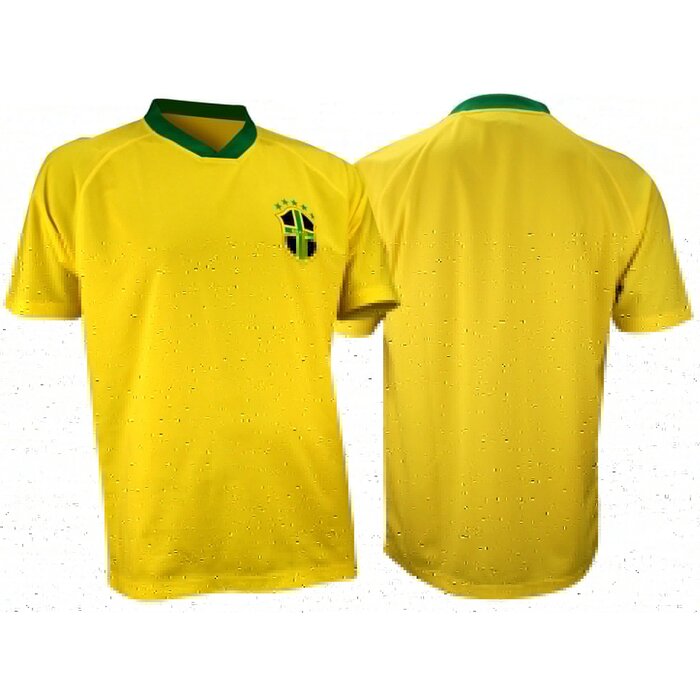 Avento - Voetbalshirt Supporter - SENIOR - Geel/Blauw