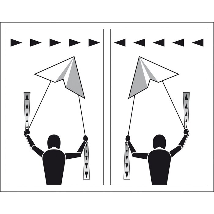 Dragon Fly® Dragon Fly® - Stunt flyer • MAESTRO 165 • Black/White