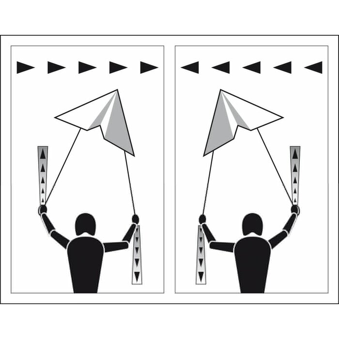 Dragon Fly® Dragon Fly® - Stunt flyer • BISE 115 • Black/White