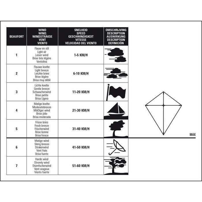 Dragon Fly® Dragon Fly® - Tail kite • PIRATE • Black