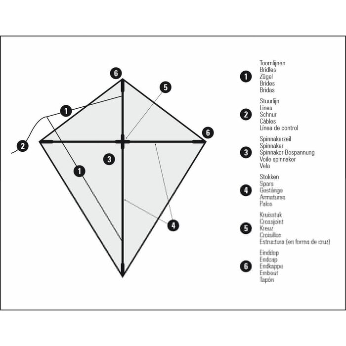 Dragon Fly® Dragon Fly® - Tail kite • RAINBOW • Yellow/Green