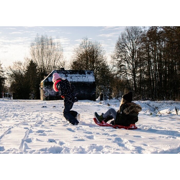 Restart® Restart® - Schlitten Kunststoff • UFO • Rot