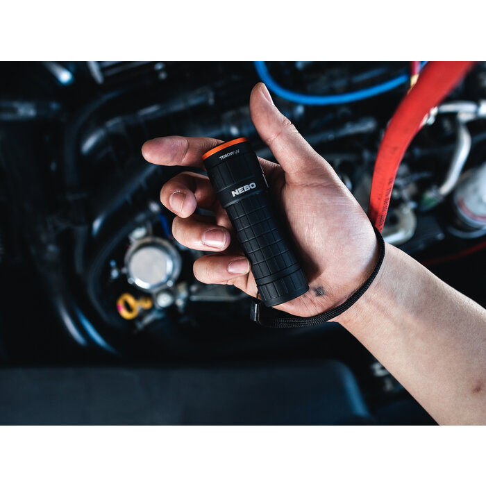 NEBO Nebo - Torchy UV - Noir