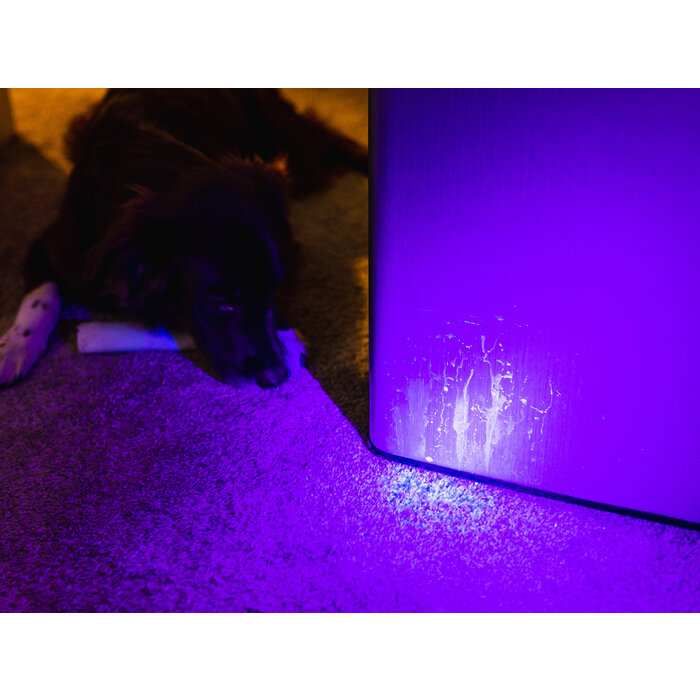 NEBO Nebo - Torchy UV - Black