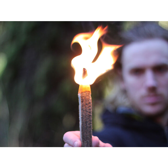 Uco UCO -Giganthothothautstarter 3st