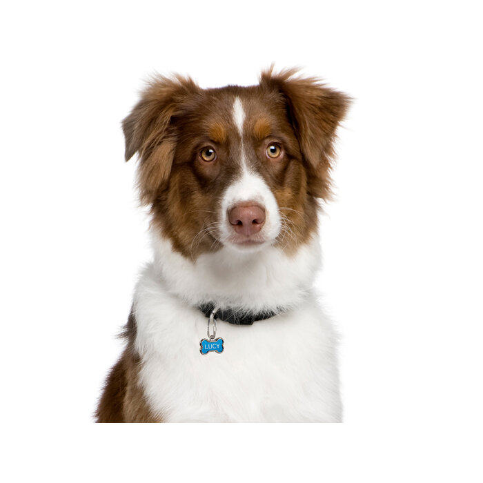 Nite Ize Nite Ize MicroLink Pet Tag Karabijnhaak 2-Pack Zilver