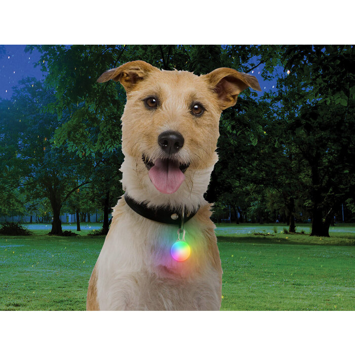 Nite Ize Nite Ize Spotlit Collar lamp Rechargeable Disco