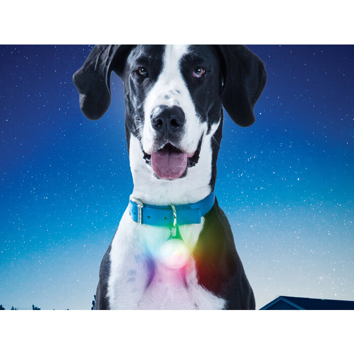 Nite Ize Nite Ize Spotlit collar lamp Rechargeable Disco XL