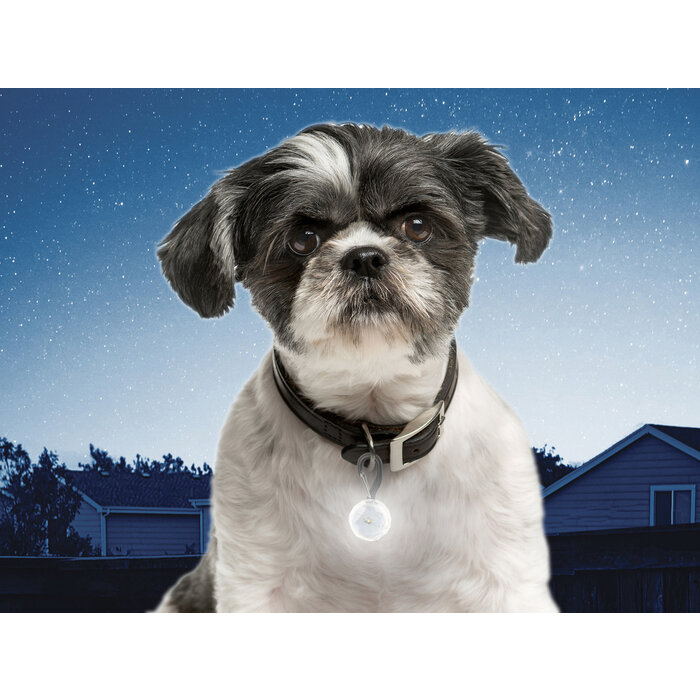 Nite Ize Nite Ize PetLit Jewel Halsbandlamp Wit