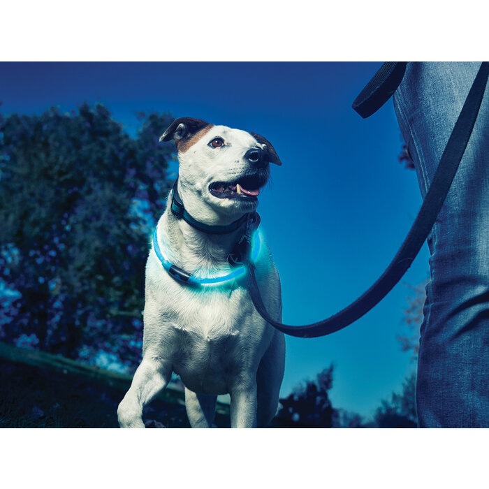 Nite Ize Nite ize nitehowl led collier bleu