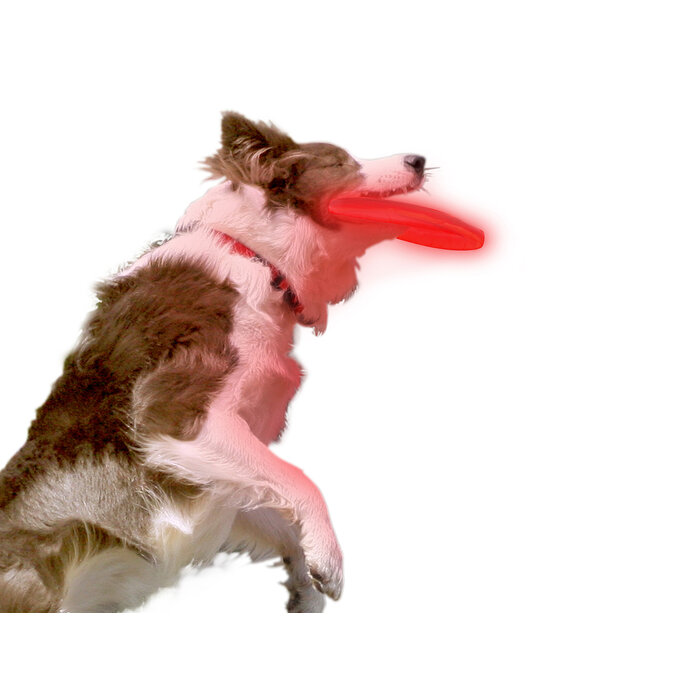 Nite Ize Nite Ize Nitedawg Softdisc LED Frisbee Blue