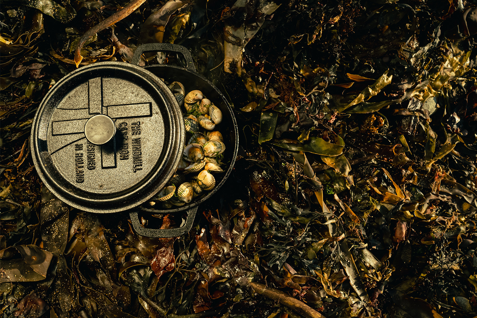 The Windmill Die Windmühle - BBQ PAN - Gusseisen - M