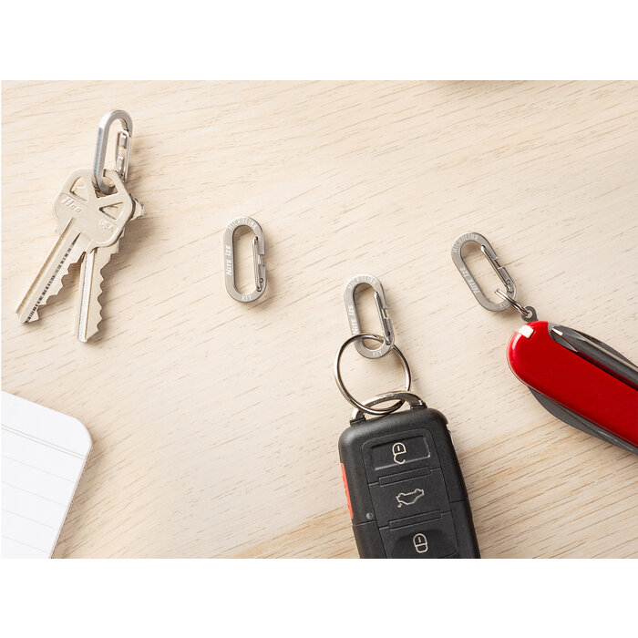 Nite Ize Nite Ize MicroLink Karabijnhaak 4-Pack Zilver