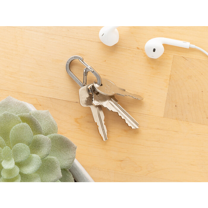 Nite Ize Nite ize g-series karabiner 2-pack argent # 1