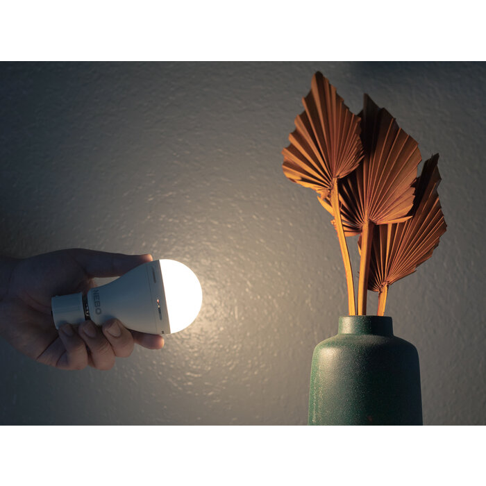 NEBO Lampe d'urgence de sauvegarde Nebo Blackout