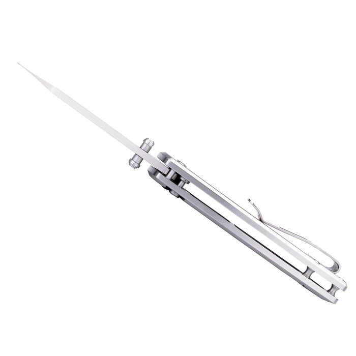 Buck Knives Buck - Mini Sovereign - RVS