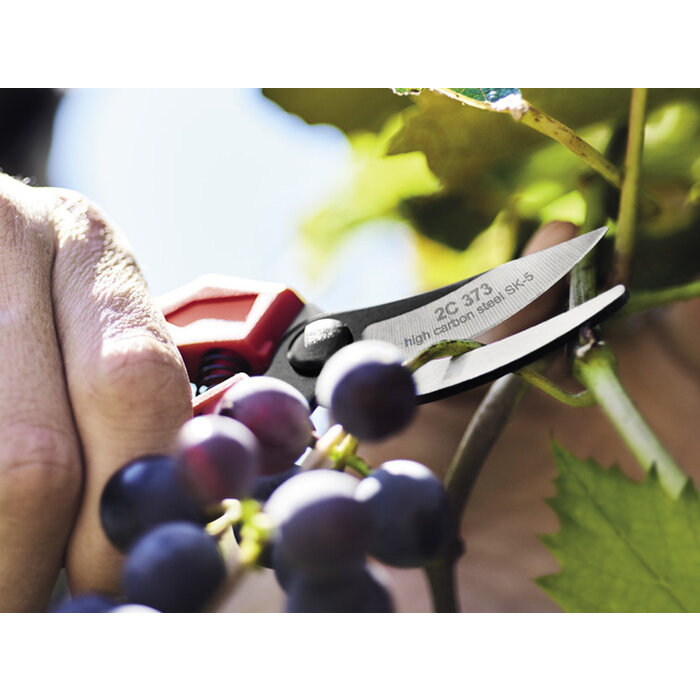 Due Cigni Coltellerie Due Cigni - Pruning Shears Curved