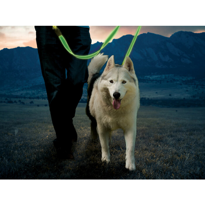 Nite Ize Nite Ize - NiteDog - Strap Rechargeable - Green - 122CM