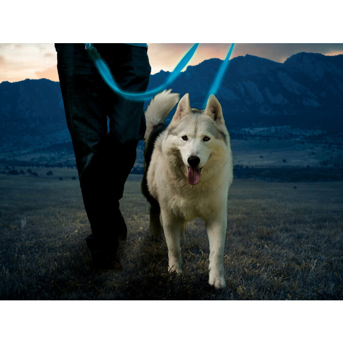 Nite Ize Nite Ize - NiteDog - LED Ceinture rechargeable - Bleu - 122CM