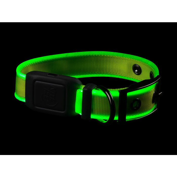 Nite Ize Nite Ize - NiteDog - LED Halsband Oplaadbaar - Groen - S
