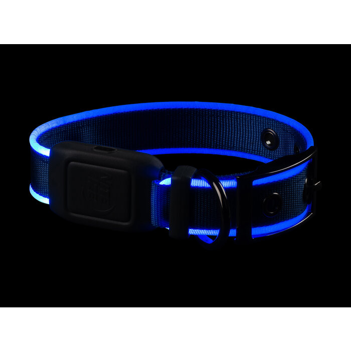 Nite Ize Nite Ize - NiteDog - LED Collar Rechargeable - Blue - S