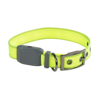 Nite Ize Nite Ize - NiteDog - LED Collier rechargeable - Vert - M