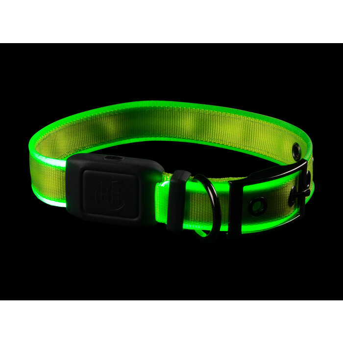 Nite Ize Nite Ize - NiteDog - LED Halsband Oplaadbaar - Groen - M