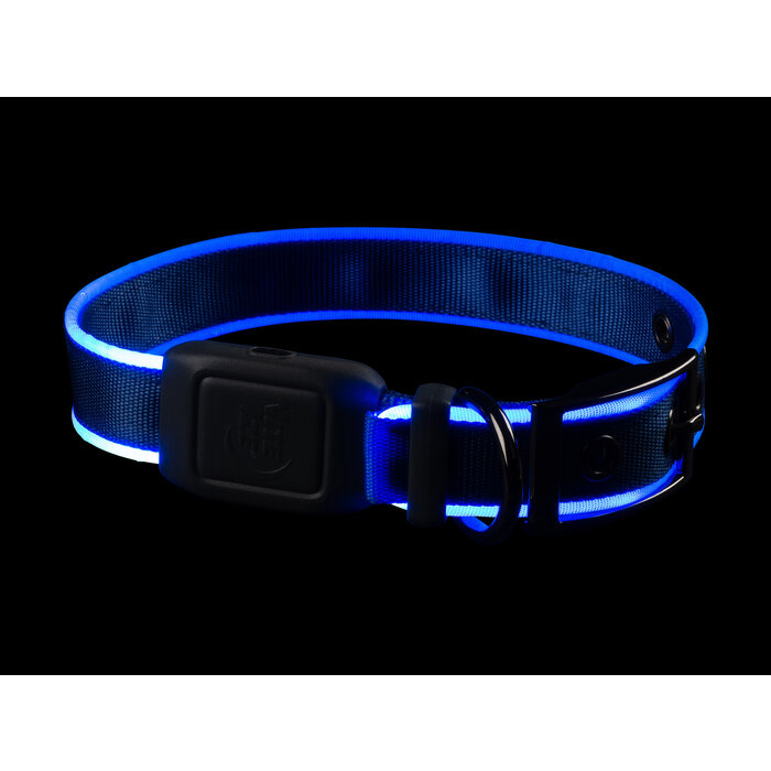 Nite Ize Nite Ize - NiteDog - LED Collier rechargeable - Bleu - M