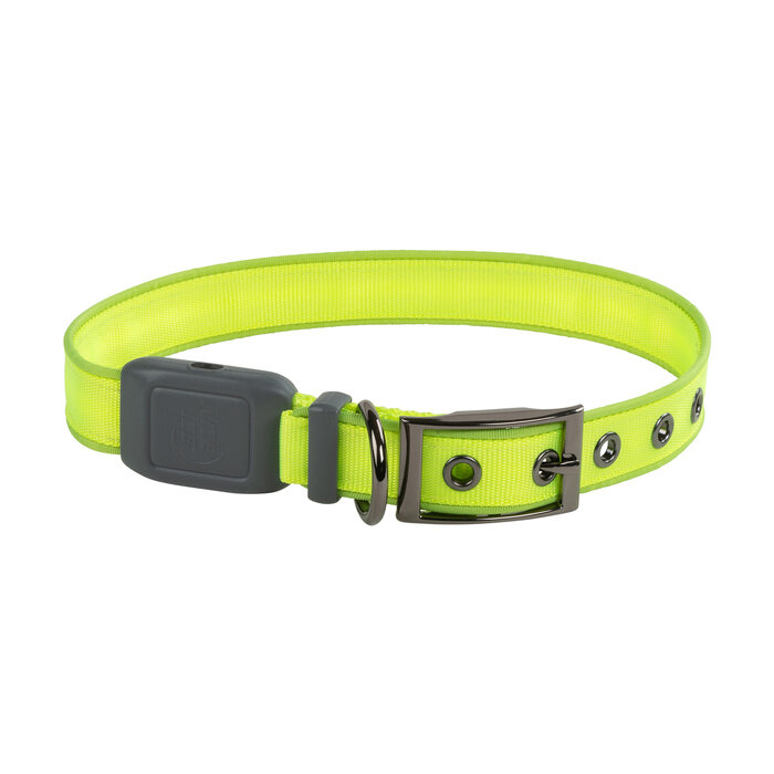 Nite Ize Nite Ize - NiteDog - LED Halsband Wiederaufladbar - Grün - L