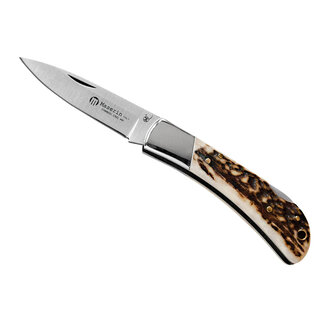 Maserin Maserin - Hunting knife - Horn